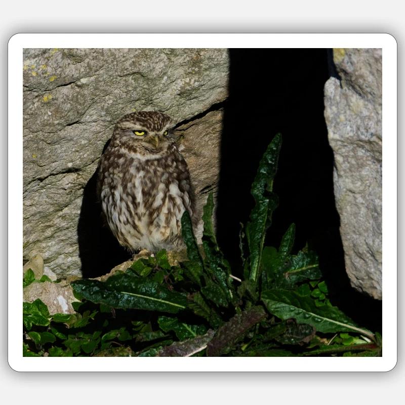 Sml Sticker size S (10 x 10 cm)