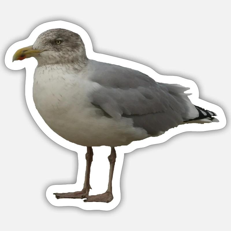 Seemöwe am Strand Illustration - Sticker Größe S (10 x 10 cm) - Mattweiß