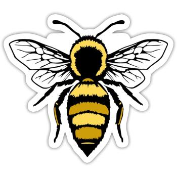 Bee Bees T-shirt Beekeeper Gift - Sticker size S (10 x 10 cm) - white matte - Front