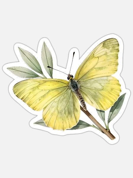 Zitronenschmetterling (Gonepteryx rhamni) - Sticker Größe S (10 x 10 cm) - Mattweiß