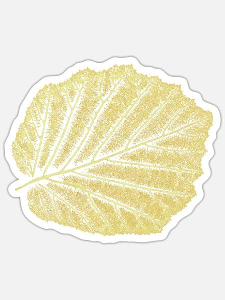 Haselnussblatt / Blatt Hasel - Natur & Garten - Sticker Größe S (10 x 10 cm) - Mattweiß