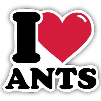 I Love Ants - Ameisen - Ameise - Sticker Größe S (10 x 10 cm) - Mattweiß - Vorne