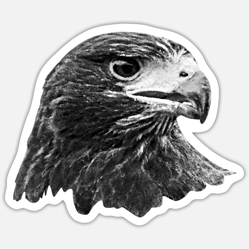 Eagle, hawk, buzzard, gray Sticker size S (10 x 10 cm)