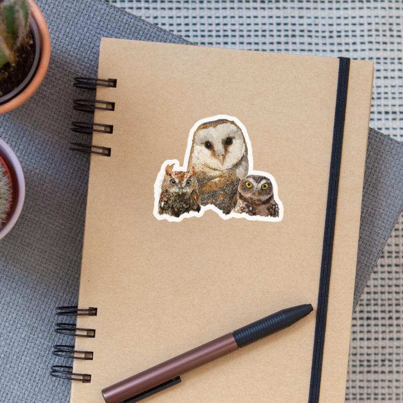 Scops Eule, kleine Eule und Eule Sticker Größe S (10 x 10 cm)