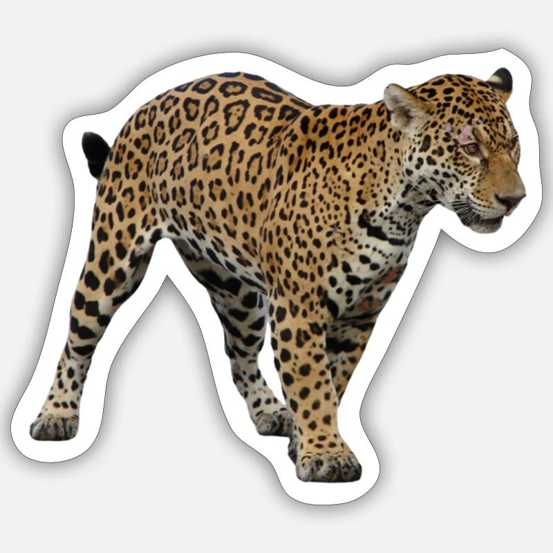 jaguar 2 - Sticker størrelse S (10 x 10 cm) - mat hvid