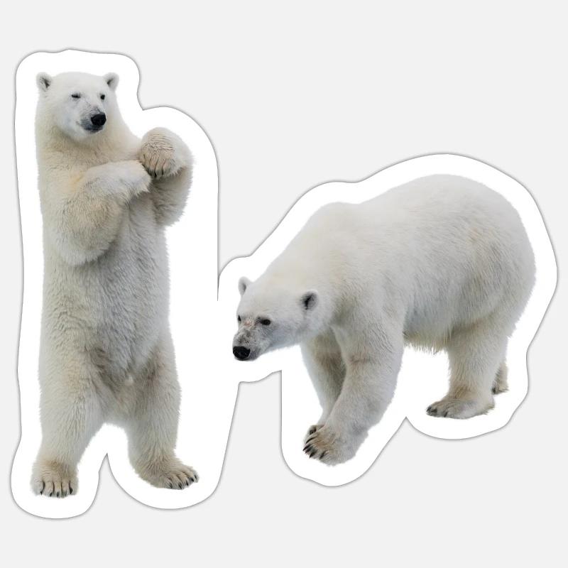Eisbär Sticker Größe S (10 x 10 cm)