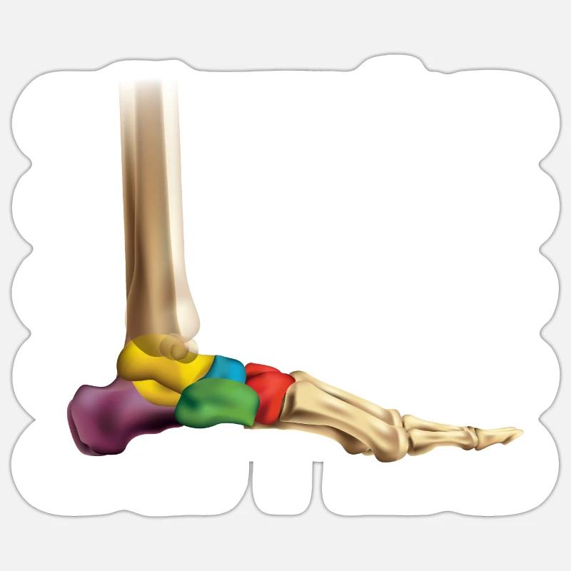 Osteo - Osteopath Geschenk Osteopathie Osteo Sticker Größe S (10 x 10 cm)