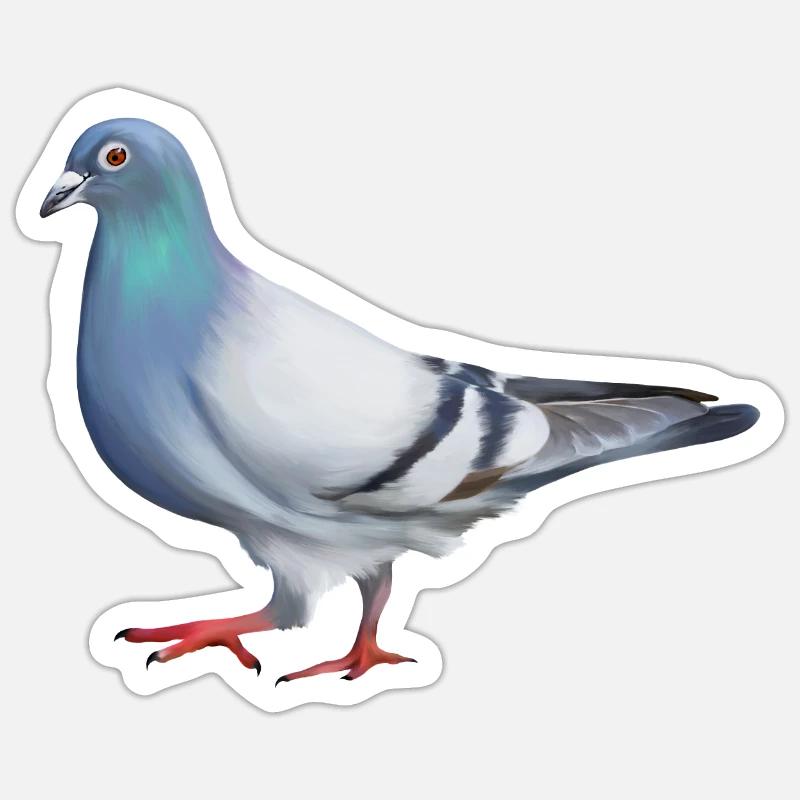 PIGEON - Sticker taille S (10 x 10 cm) - blanc mat