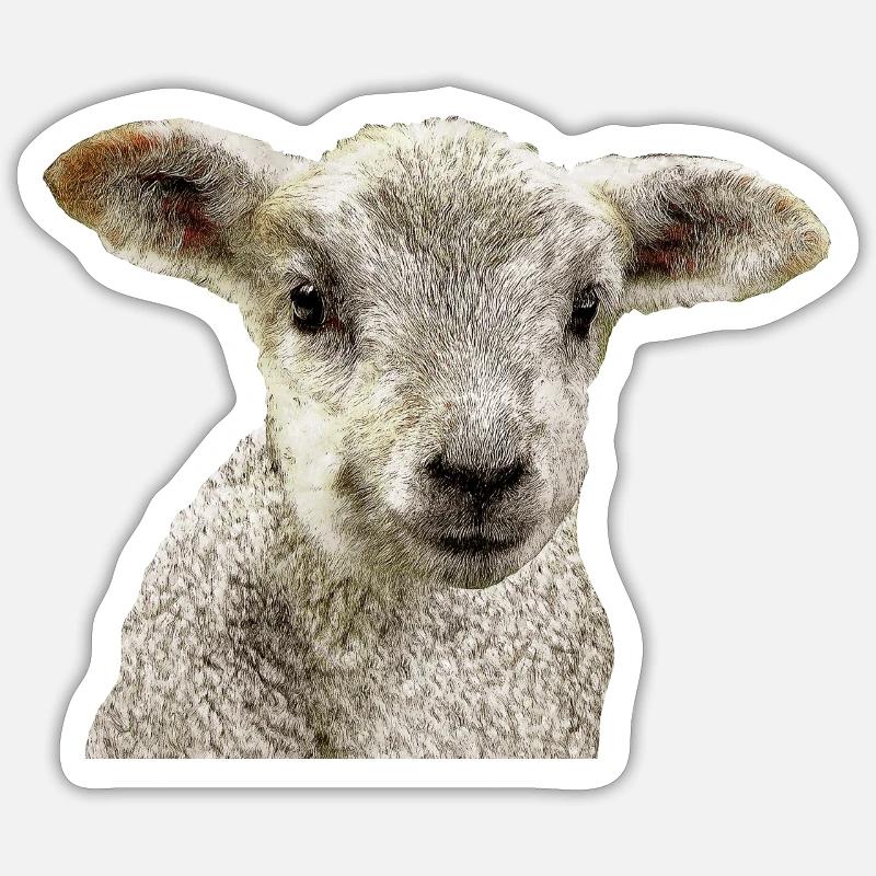 lamb - Sticker size S (10 x 10 cm) - white matte