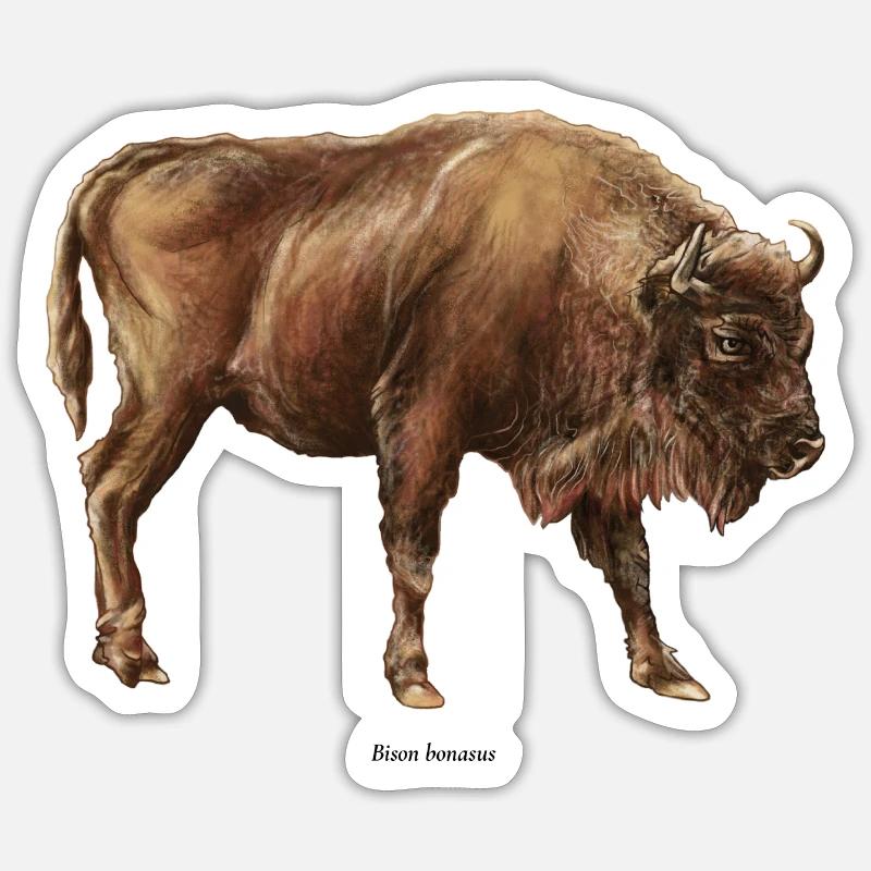 Wisent Sticker Größe S (10 x 10 cm)