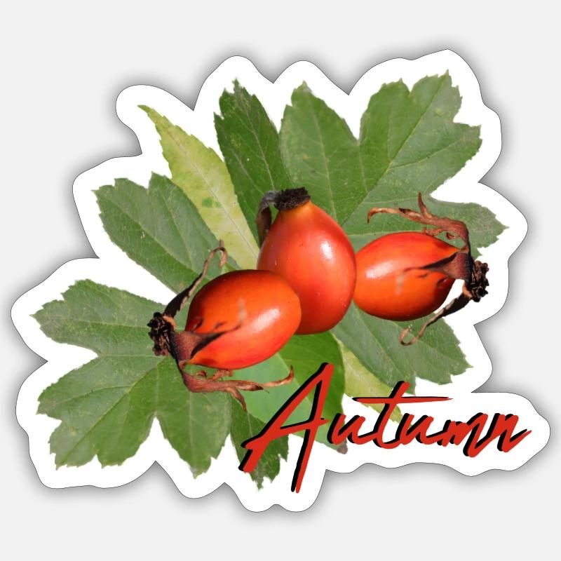 Feuilles d’automne Sticker taille S (10 x 10 cm)