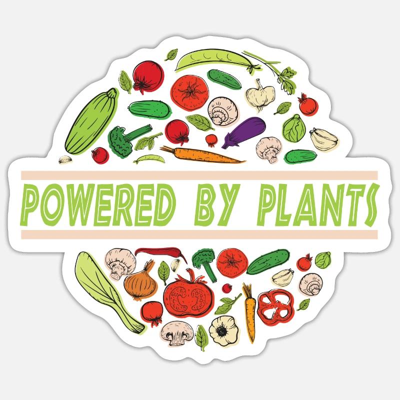 Vegan Vegetarier Spruch Sprüche Geschenkidee Sticker Größe S (10 x 10 cm)