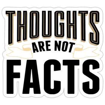 Sarcastic Thoughts are Not Facts Sarcasm Gift Idea - Sticker size S (10 x 10 cm) - white matte - Front