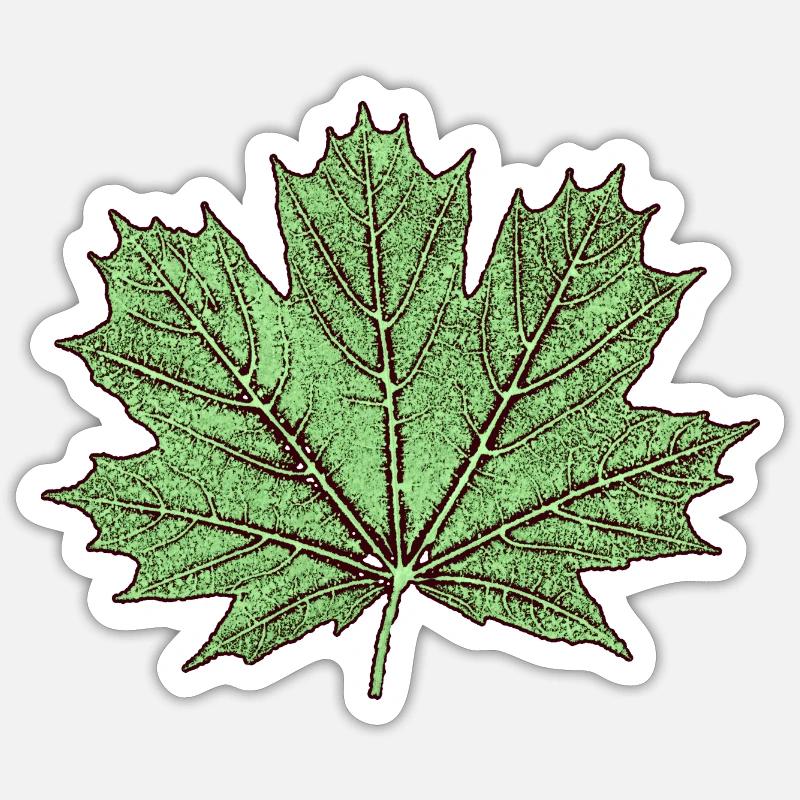 Maple leaf / érable feuille - Botanique - Sticker taille S (10 x 10 cm) - blanc mat