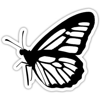 Butterfly Nature Butterflies Vector 8 - Sticker size S (10 x 10 cm) - white matte - Front