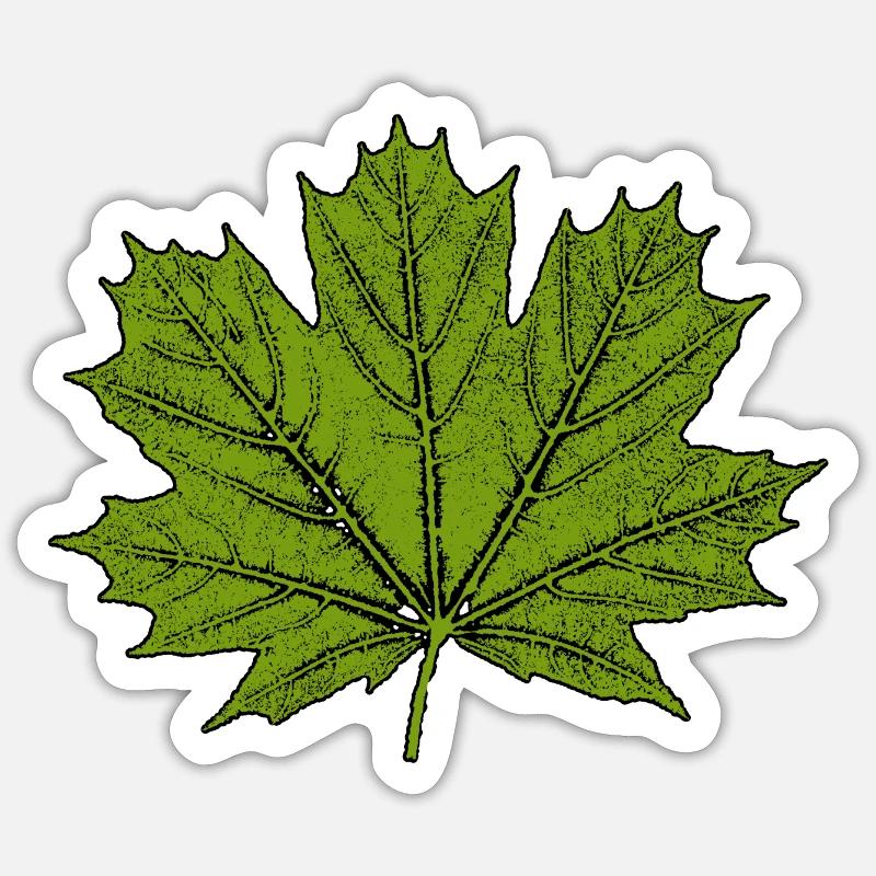 Érable / Feuille - Sticker taille S (10 x 10 cm) - blanc mat
