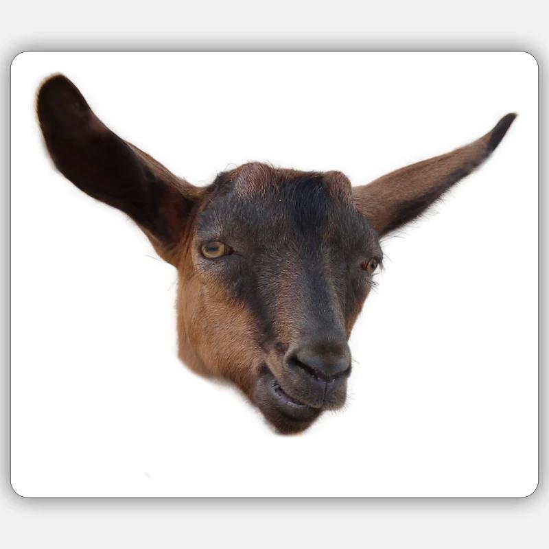 Drôle de tête de chèvre bouc - Sticker taille S (10 x 10 cm) - blanc mat