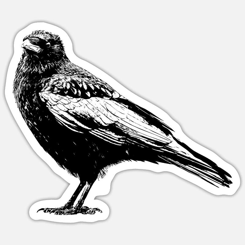 Raven - Sticker size S (10 x 10 cm) - white matte