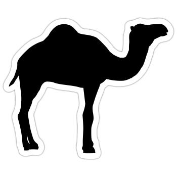 Camel - Sticker size S (10 x 10 cm) - white matte - Front