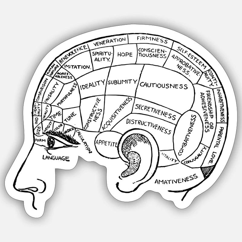 brain - Sticker size S (10 x 10 cm) - white matte