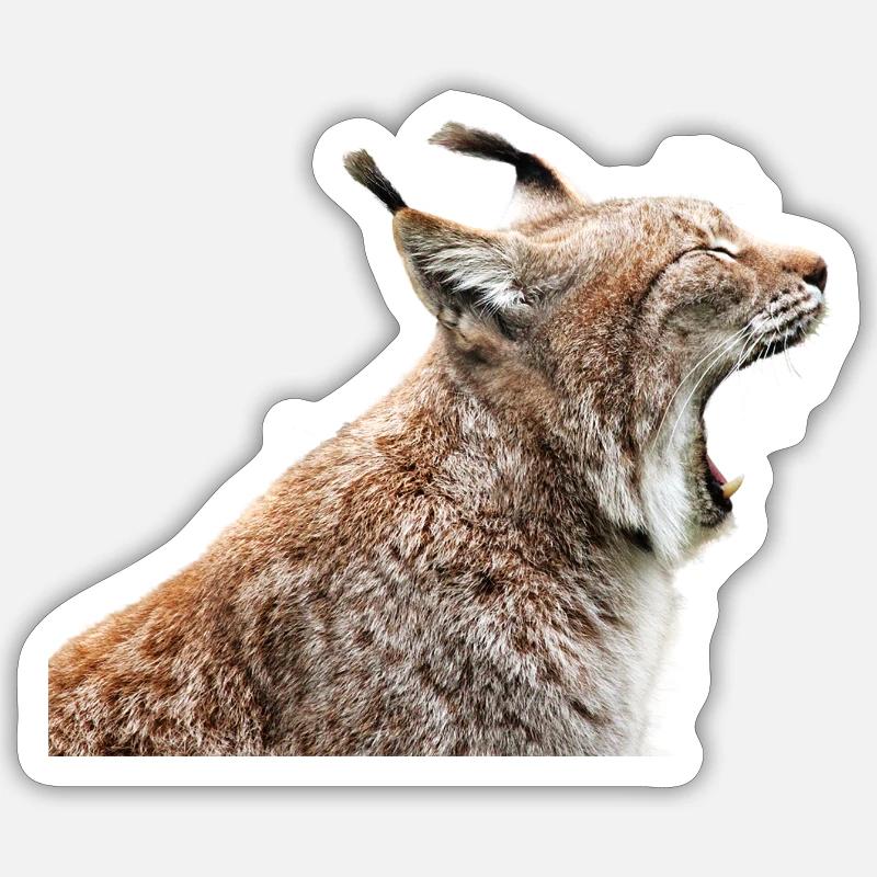 Linx chat chat lynx - Sticker taille S (10 x 10 cm) - blanc mat