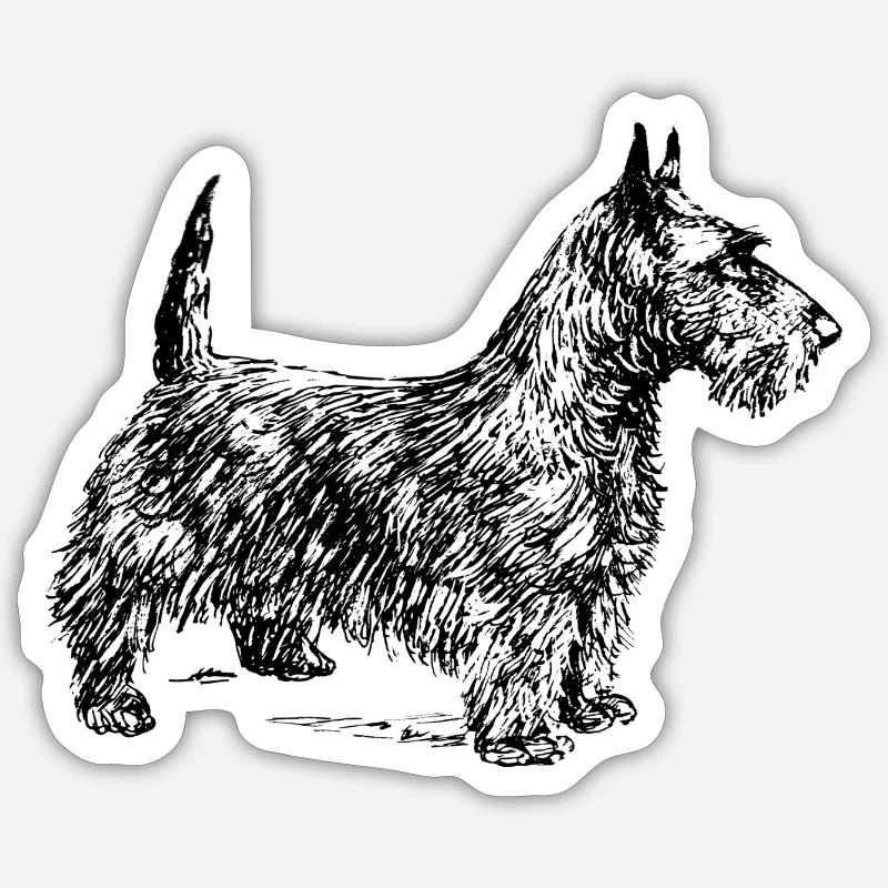 Scottish Terrier - Sticker taille S (10 x 10 cm) - blanc mat