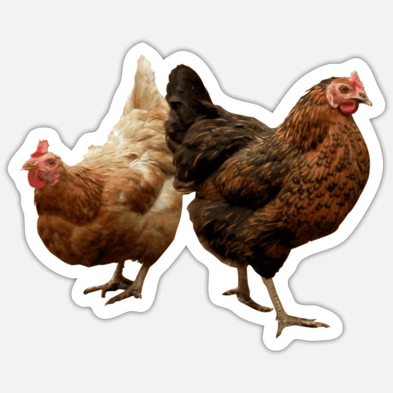 deux poulets heureux - Sticker taille S (10 x 10 cm) - blanc mat