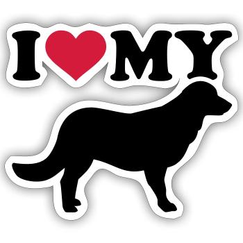 Flat Coated Retriever - Sticker taille S (10 x 10 cm) - blanc mat - Devant
