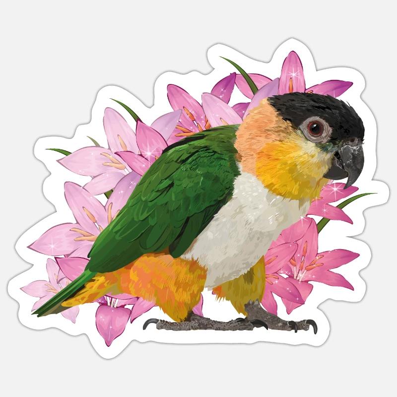 Caique - Sticker size S (10 x 10 cm) - white matte