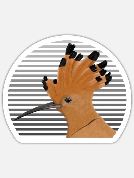 Wiedehopf Vogel Vogelfreund Vogelbeobachter - Sticker Größe S (10 x 10 cm) - Mattweiß