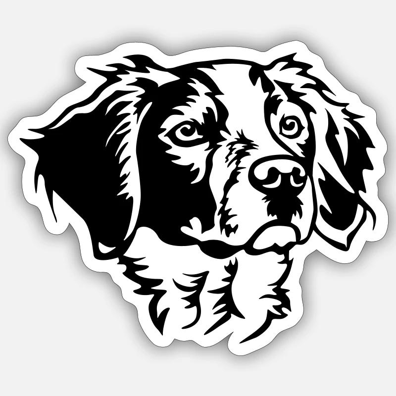 Epagneul Breton Head - Sticker size S (10 x 10 cm) - white matte