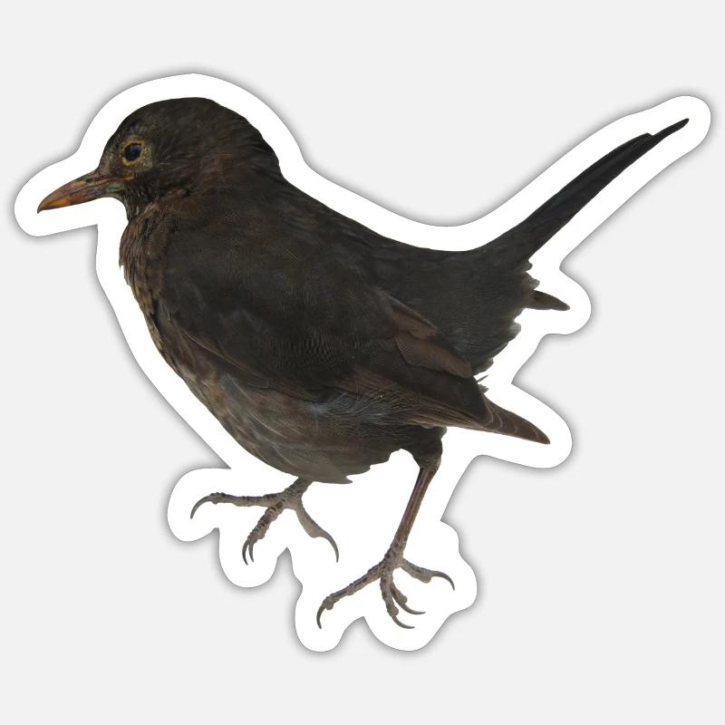 Blackbird Sticker size S (10 x 10 cm)