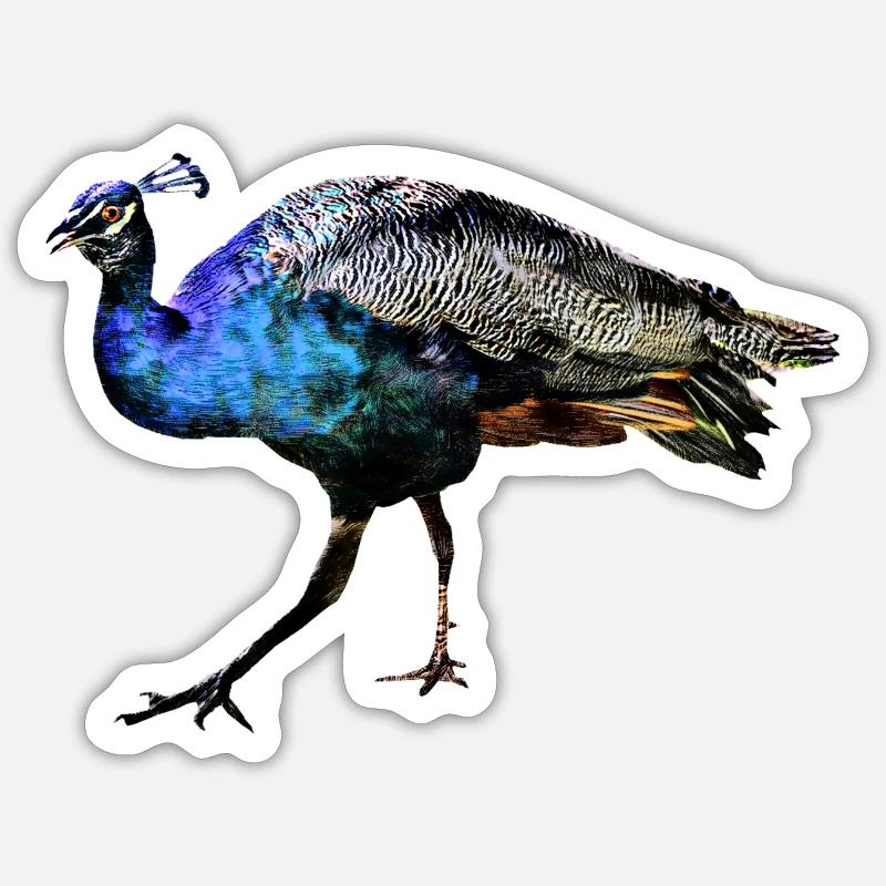 Pfau - Sticker Größe S (10 x 10 cm) - Mattweiß