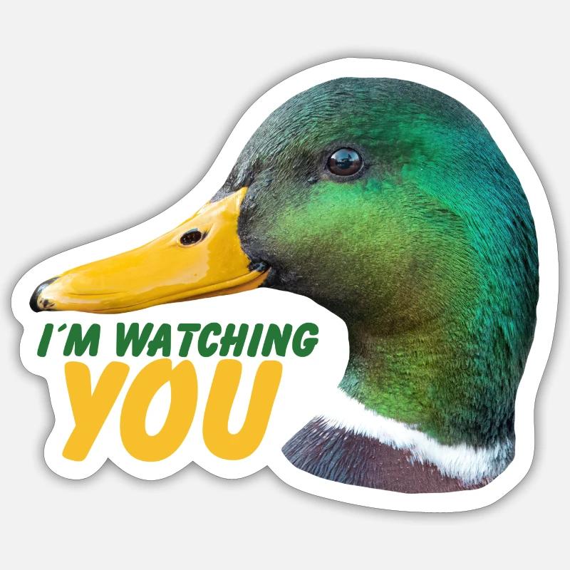 Duck - I'm watching you - Sticker size S (10 x 10 cm) - white matte