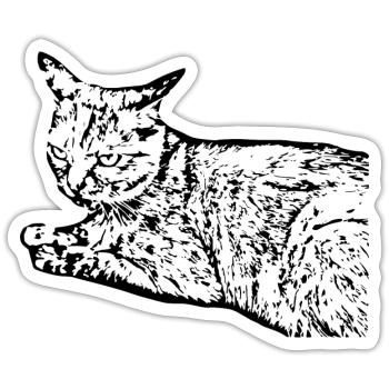 Black Cat Cat Sweet Kitten Christmas Gift - Sticker size S (10 x 10 cm) - white matte - Front