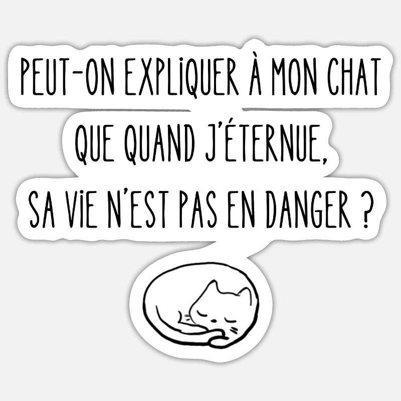 peut-on expliquer à mon chat Sticker taille S (10 x 10 cm)