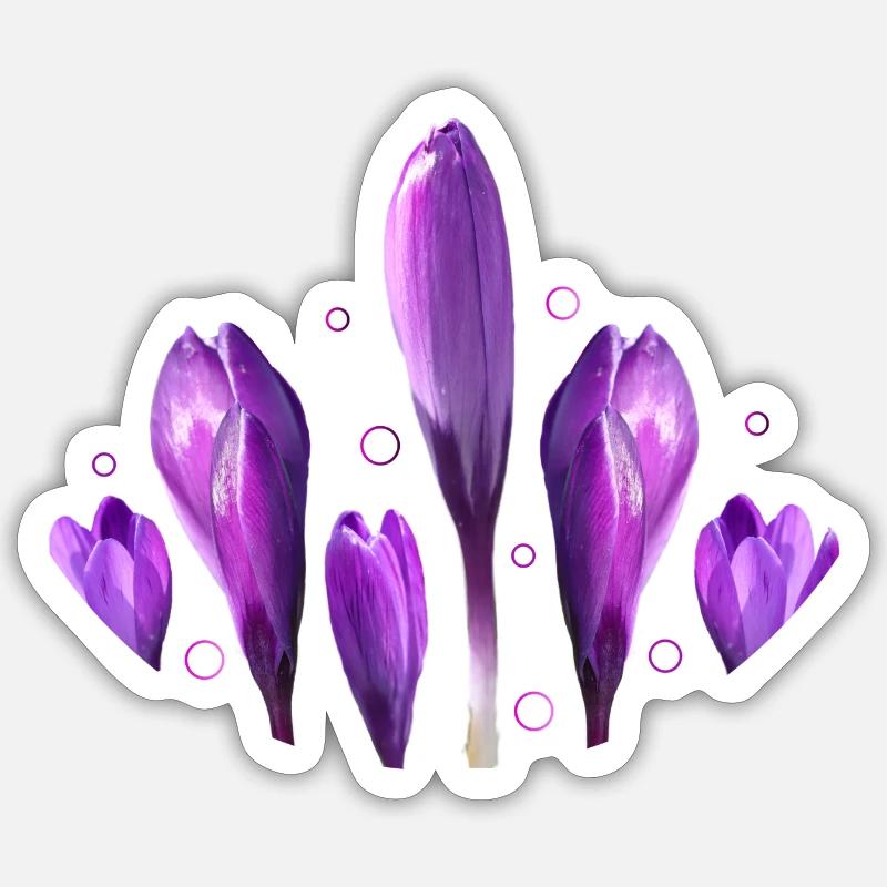 Crocus Printemps Printemps Début Sticker taille S (10 x 10 cm)