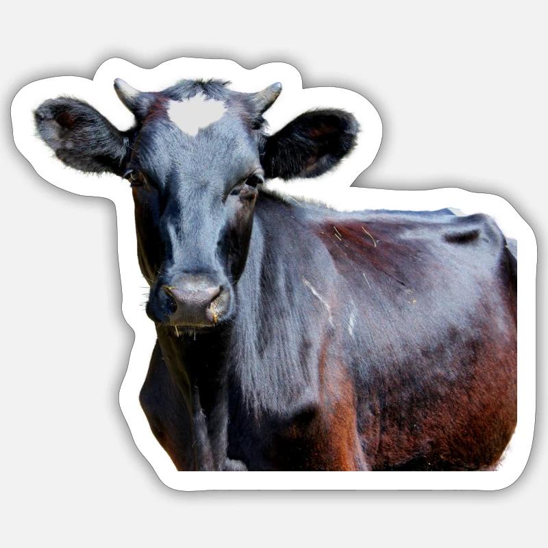 Vache - Sticker Größe S (10 x 10 cm) - Mattweiß