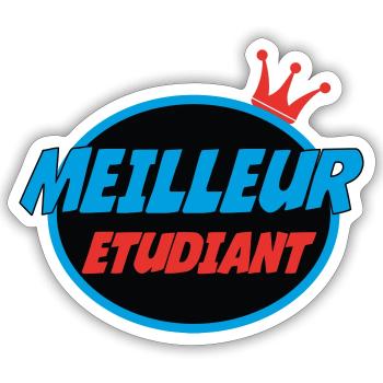 BEST STUDENT - Sticker size S (10 x 10 cm) - white matte - Front