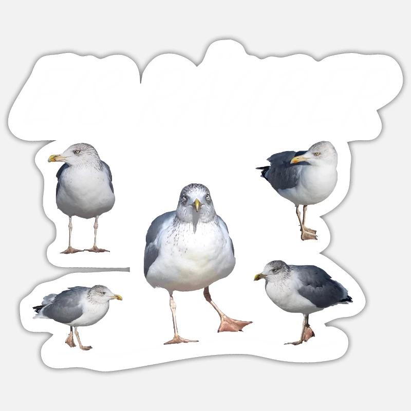 Eisräuber Eis Möwe Meer Urlaub Strand Segeln - Sticker Größe S (10 x 10 cm) - Mattweiß