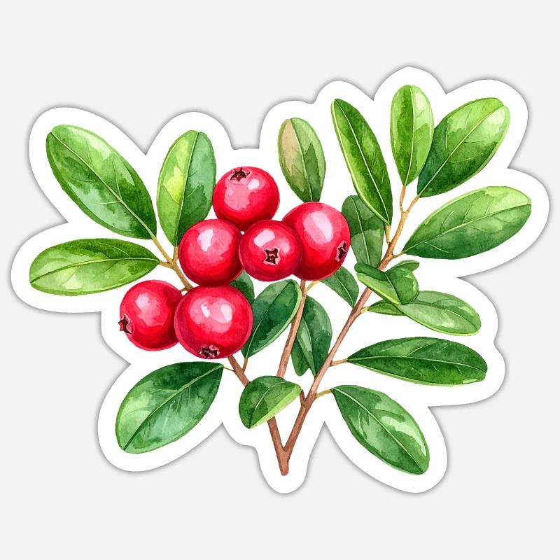 Preiselbeere – botanisches Aquarell Sticker Größe S (10 x 10 cm)