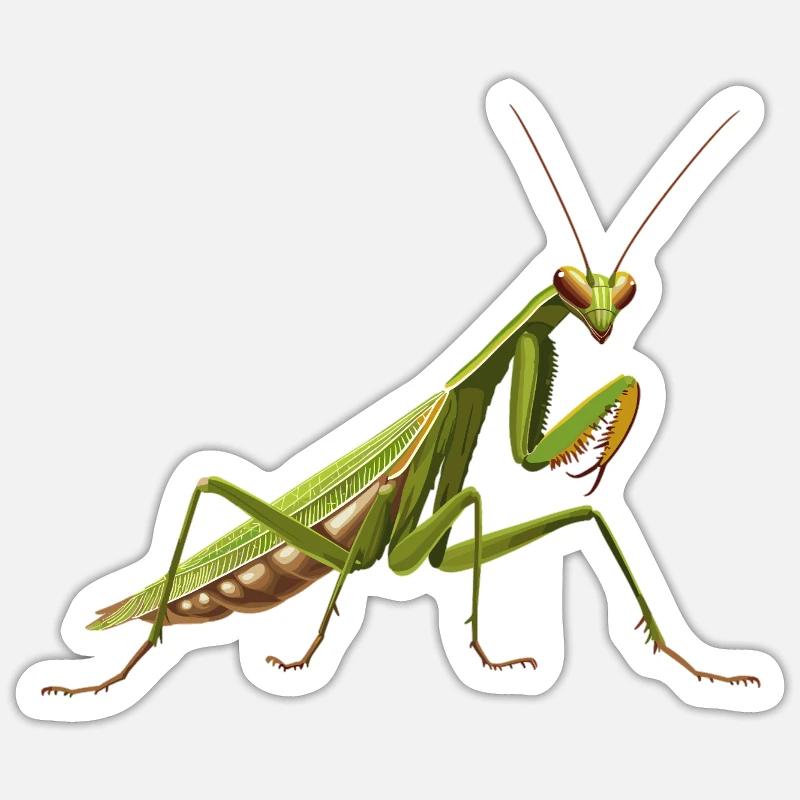 Gottesanbeterinnen Gottesanbeterin Sticker Größe S (10 x 10 cm)