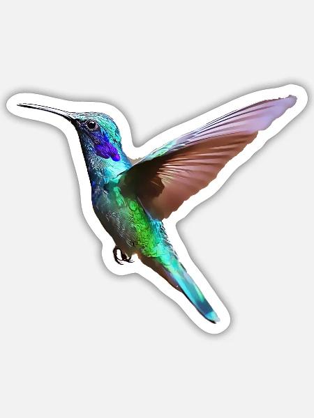 Kolibri – Vogelillustration - Sticker Größe S (10 x 10 cm) - Mattweiß