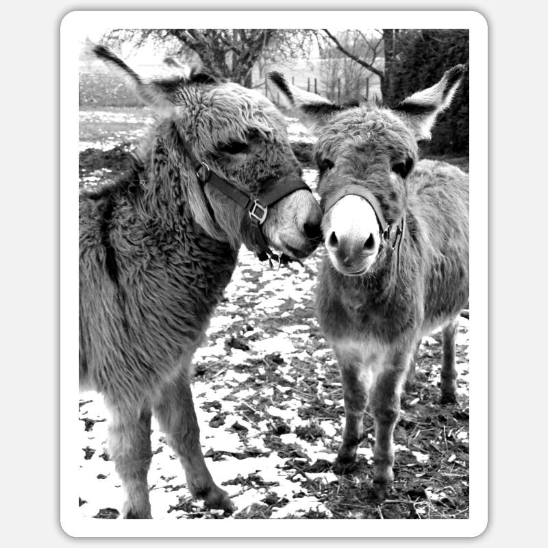 Zwei Esel Sticker Größe S (10 x 10 cm)