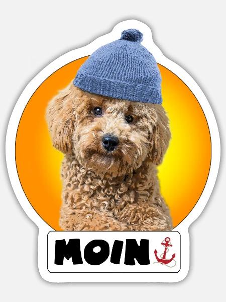 Pudel mit Pudelmütze "Moin" - Sticker Größe S (10 x 10 cm) - Mattweiß