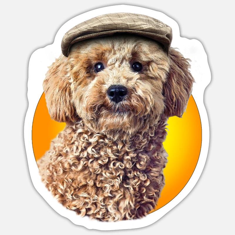 Poodle Pepe with cap Sticker size S (10 x 10 cm)
