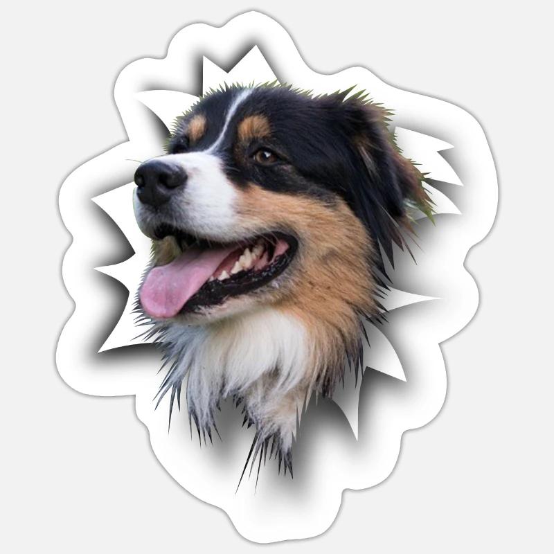 Australian Shepherd - Sticker size S (10 x 10 cm) - white matte