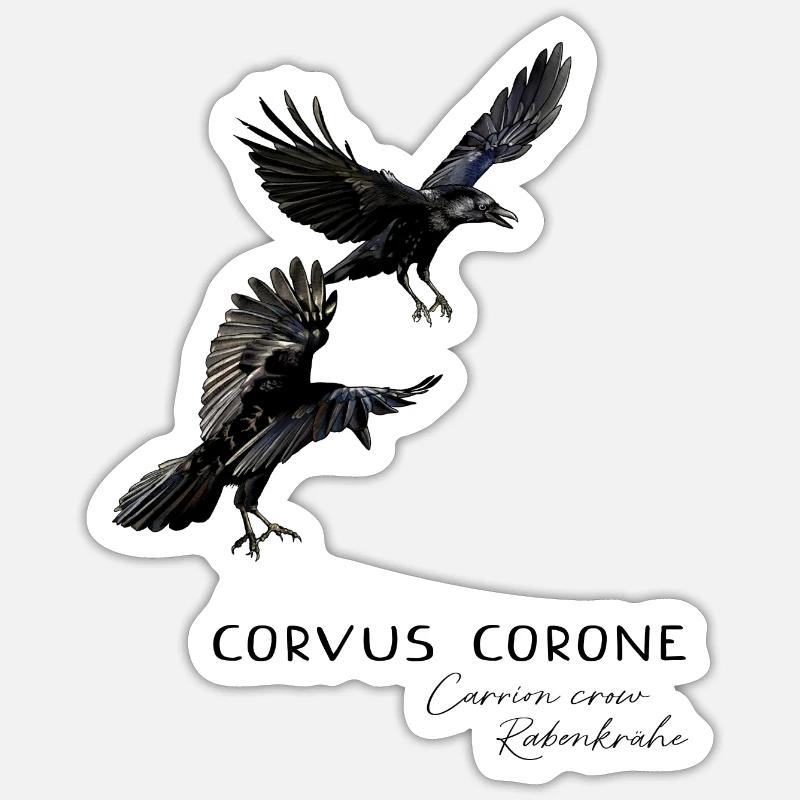 Rabenkrähe -Aaskrähe - Sticker Größe S (10 x 10 cm) - Mattweiß