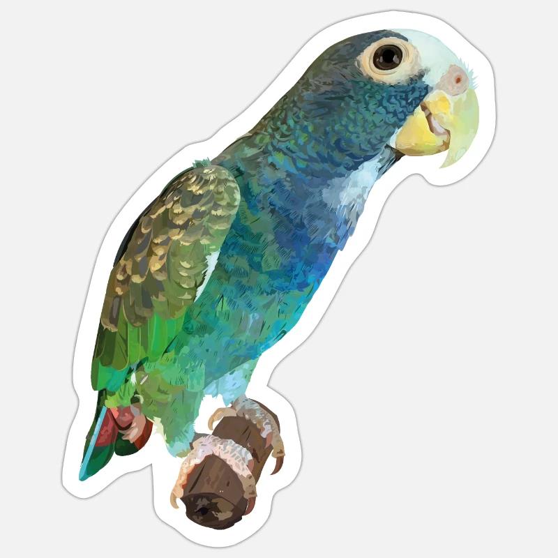 Perroquet Sénile Sticker taille S (10 x 10 cm)