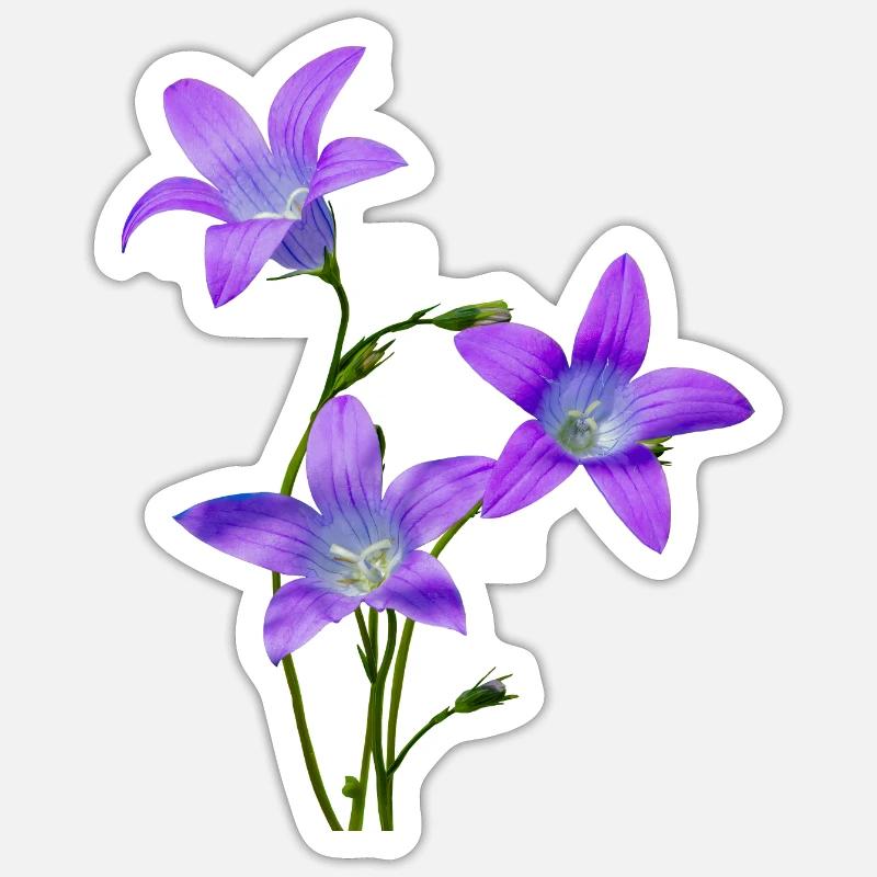 Jacinthes - Sticker taille S (10 x 10 cm) - blanc mat